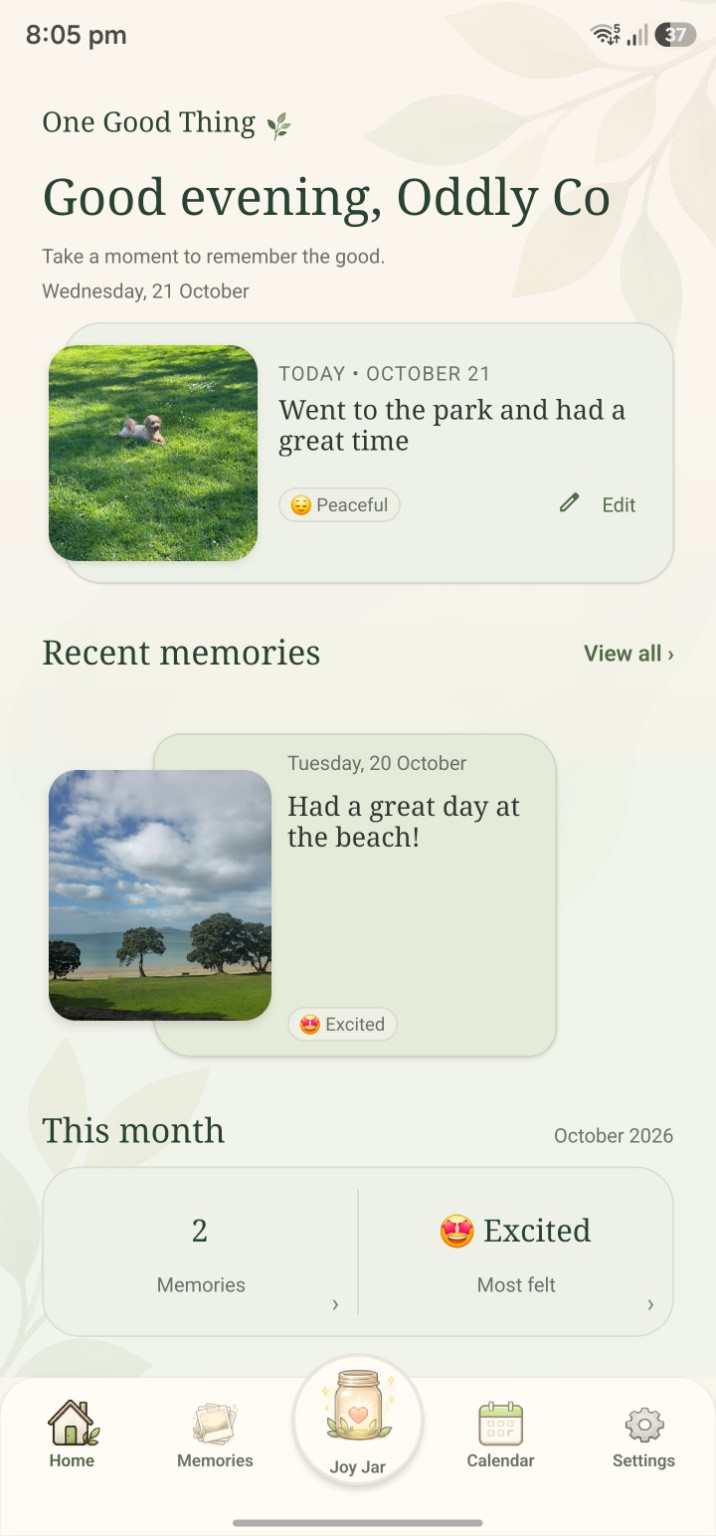 One Good Thing home screen showing today's entry, recent memories and a monthly summary